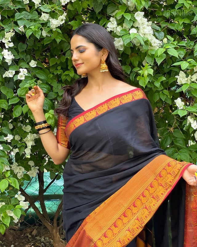 Big Border - Black ( Pure Narayanpet Handloom ) Big Border - Black ( Pure Narayanpet Handloom )