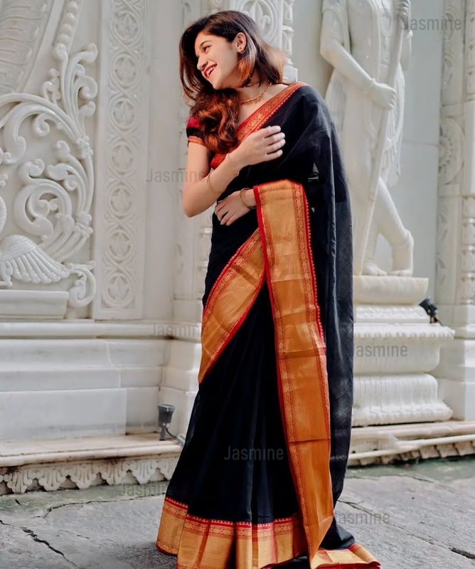 Vibhuti ( Authentic Narayanpet Handloom ) Vibhuti ( Authentic Narayanpet Handloom )
